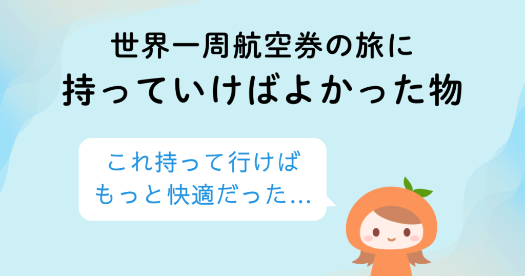世界一周航空券の旅に持っていけばよかった物